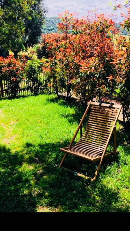 A Fata Di L'Ortolo Gites A La Ferme Sartène Exteriör bild